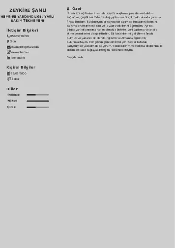 Hasta ve Yaşlı Bakım Elemanı Cv Örnekleri cv indir